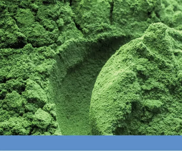 Màu tự nhiên xanh tảo Spirulina blue