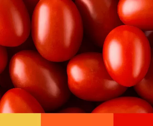 Màu đỏ cam Tomato
